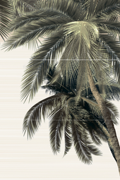 Панно Alma Ceramica Дель Мар (из 3 плит) 74,7x50 см PWU09DLM2