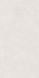 Керамогранит Alma Ceramica Флора 60x120 см ректификат GFU60120FLO04L лаппатированный